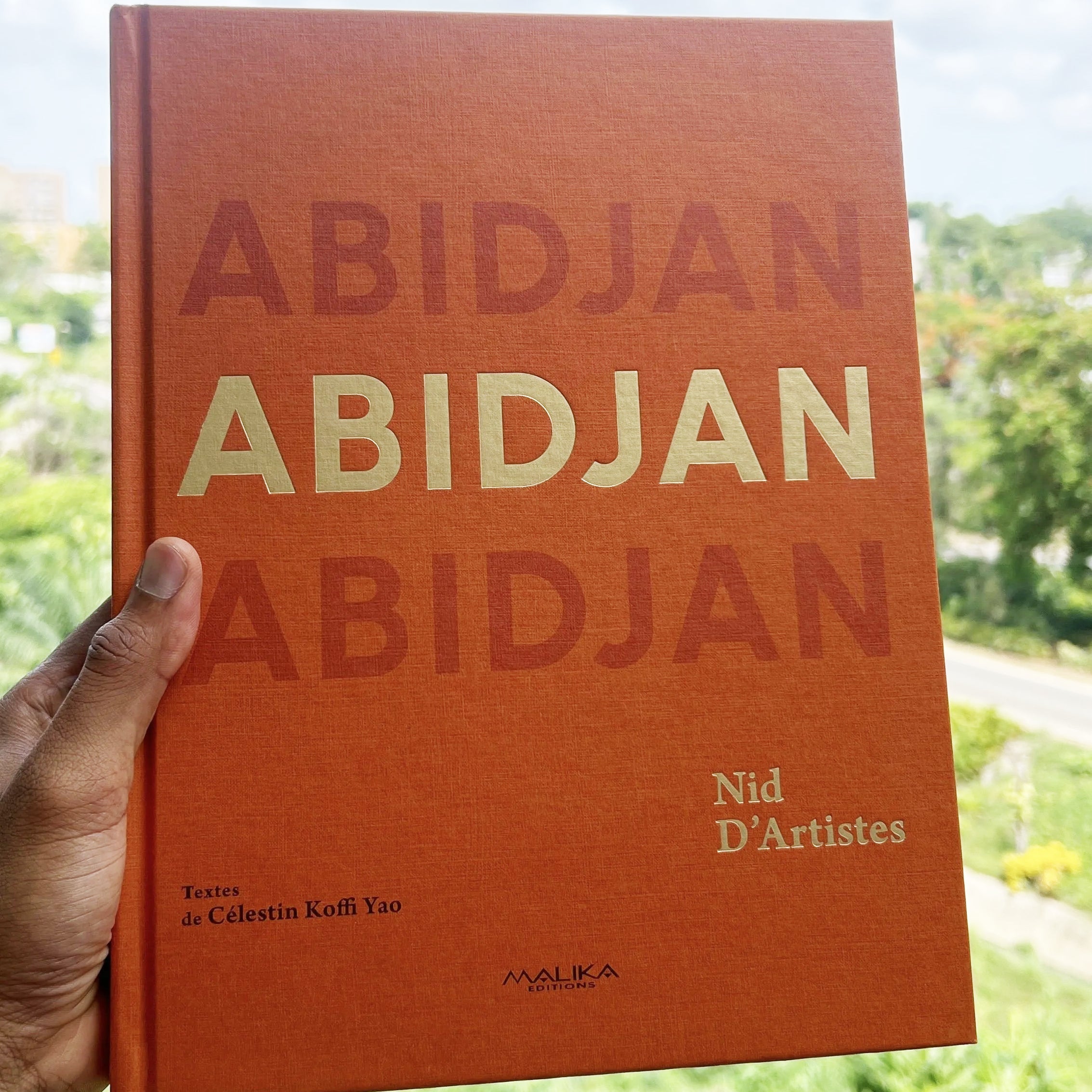 Paul Ledron dans "Abidjan Nid d'Artistes"